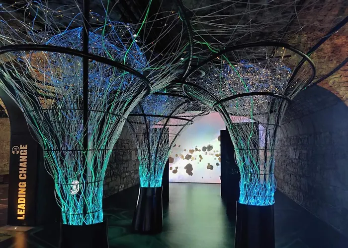 酒店 Maldron Pearse Street